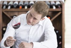 yo no se nada de vinos