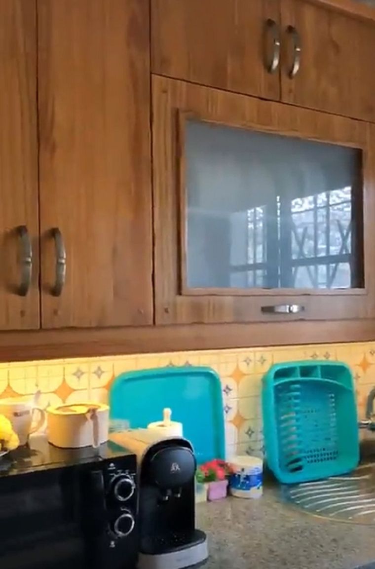 Video viral Foto: TikTok