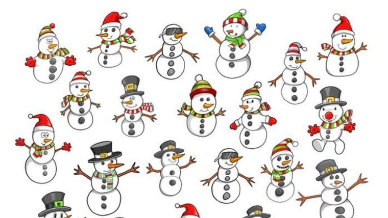 ACERTIJO VISUAL ACERTIJO VISUAL, RETO VISUAL, MUÑECO DE NIEVE Foto: ARCHIVO