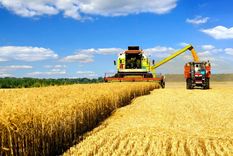 Las exportaciones de trigo argentino pueden verse beneficiadas. Foto: Cátedravícola.