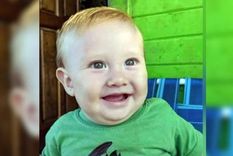 Mateo comió frutos de un ligustro y eso le causó la muerte Mateo comió frutos de un ligustro y eso le causó la muerte