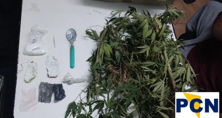 Plantas de marihuana, una balanza y otros elementos fueron incautados en operativos en San Rafael y Las Heras Foto: Ministerio de Seguridad de Mendoza