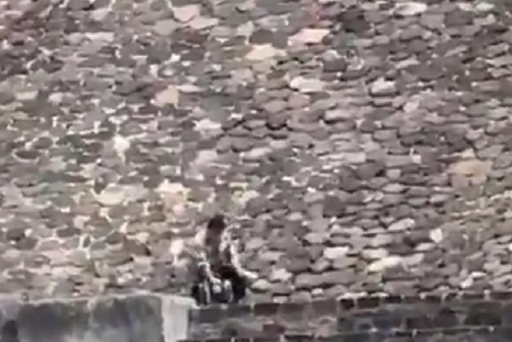 El tirador de las Pirámides en México se ubicó en la cima para disparar contra las personas que recorrían el monumento. El tirador de las Pirámides en México se ubicó en la cima para disparar contra las personas que recorrían el monumento.