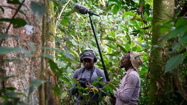 Junior Amboko (izq.) y Mardoché B. Koko grabaron el característico sonido del recién descubierto mono Colobus congoensis en el Parque Nacional Lomami, en República Democrática del Congo.