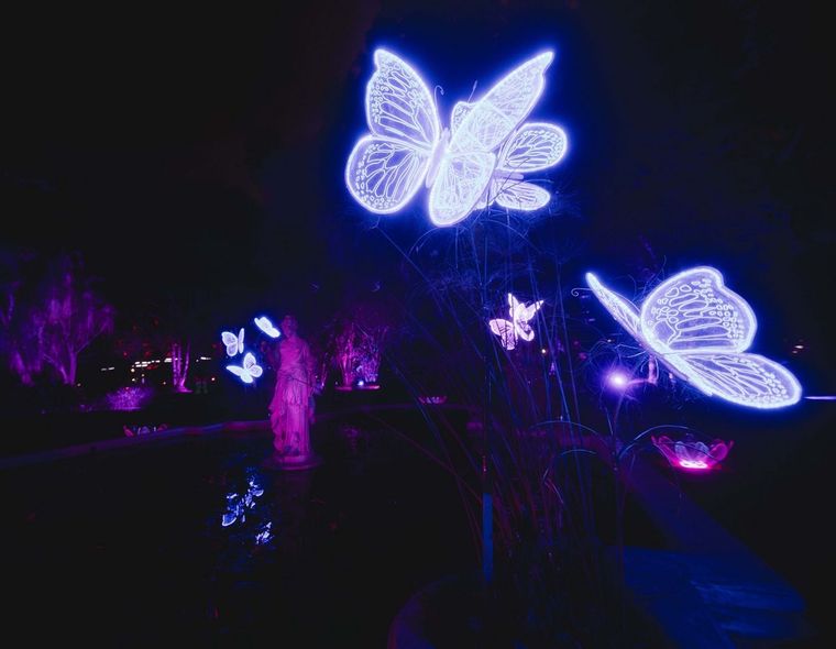 Desde este sábado y durante todo el mes de julio podrá disfrutarse de la muestra “Secret Garden” en el Jardín Botánico de Palermo Foto: Télam