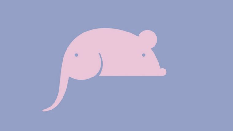 Test de personalidad