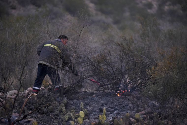 Los incendios en zonas de campo configuran una grave problemática ambiental en Mendoza Foto: Maximiliano Ríos/MDZ