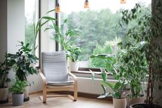 JARDÍN Las plantas aportan vida a cada espacio del hogar Foto: shutterstock
