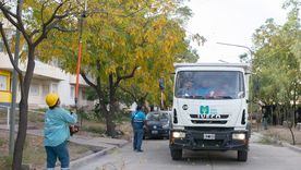 Cuadrillas municipales trabajan en arbolado, plazas y limpieza de barrios.