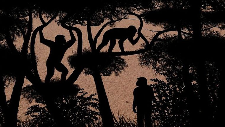 Reconstrucción de diferentes modos de locomoción en el desierto de Djourab (Chad). Sabine Riffaut, Guillaume Daver, Franck Guy / Palevoprim / CNRS - Université de Poitiers / MPFT Foto: GENTILEZA FRANK GUY