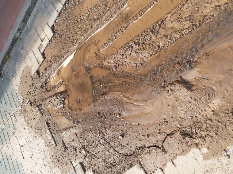 Foto: Gentileza lector MDZ