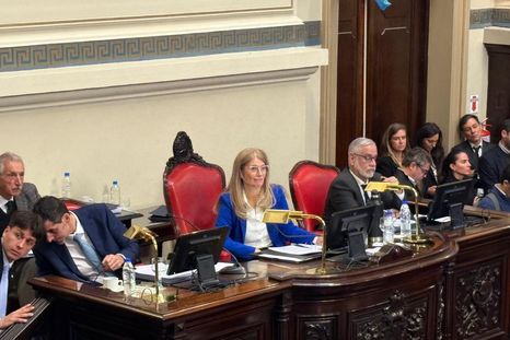 La interna peronista opaco la primera sesión del año del Senado bonaerense La interna peronista opaco la primera sesión del año del Senado bonaerense