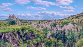 El pueblo de La Carolina fue reconocido entre los más lindos del mundo por su paisaje y arquitectura. El pueblo de La Carolina fue reconocido entre los más lindos del mundo por su paisaje y arquitectura.