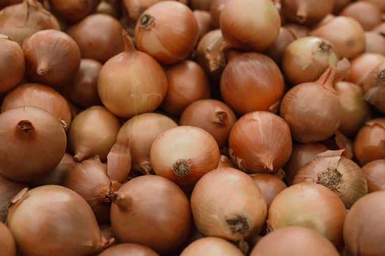 Cebolla