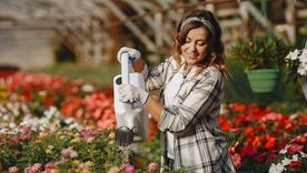 La solución definitiva para eliminar plagas. Foto: Freepik