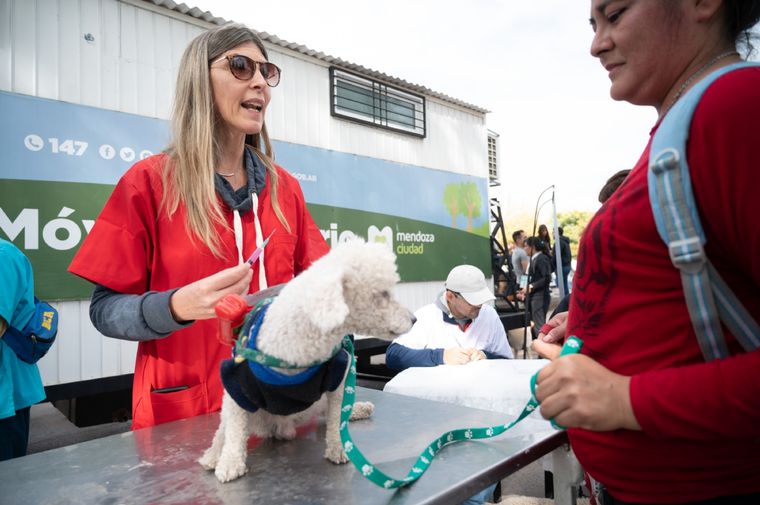 Se puede pedir turnos, para perros y gatos, tanto en el Móvil Veterinario, como en el Centro Veterinario Fijo en el barrio La Favorita.