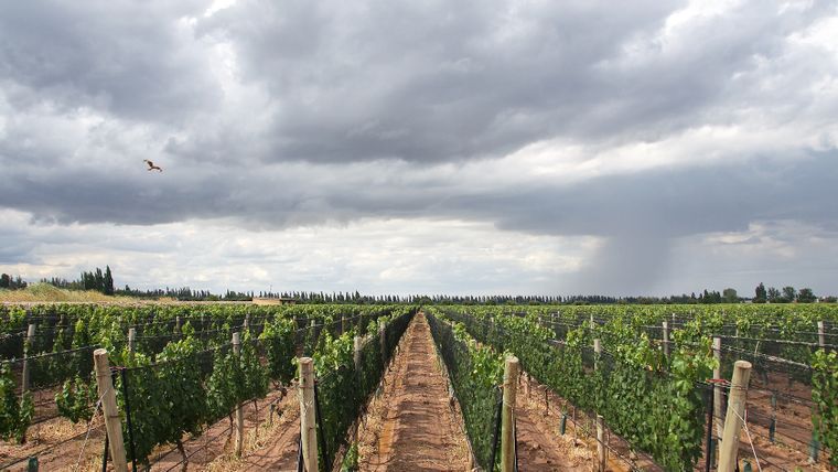 El viernes habrá un leve ascenso térmico y cielo parcialmente nublado en Mendoza.