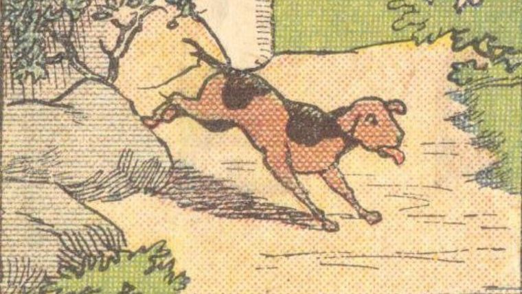 Acertijo visual, reto visual, dueño