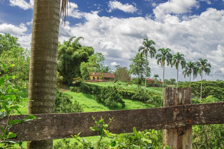 Quindío, en Colombia, cuenta con un gran número de destinos turísticos que cuidan el medio ambiente Foto: shutterstock