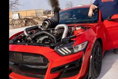 Ford Mustang (Westen Champlin)