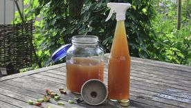 El agua de las lentejas aporta grandes nutrientes. Foto: Shutterstock El agua de las lentejas aporta grandes nutrientes. Foto: Shutterstock