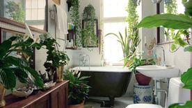 Incorporar plantas al baño mejora el ambiente y la estética. Foto: Pinterest Incorporar plantas al baño mejora el ambiente y la estética. Foto: Pinterest