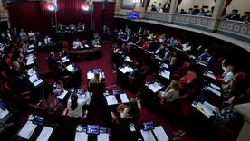 El Senado bonaerense discutirá la reelección de sus integrantes. Foto: Diario Popular