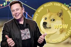 El dogecóin es la criptomoneda promovida por el multimillonario Elon Musk. Foto: Euribor. El dogecóin es la criptomoneda promovida por el multimillonario Elon Musk. Foto: Euribor.