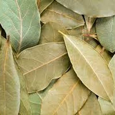 1 hoja de laurel