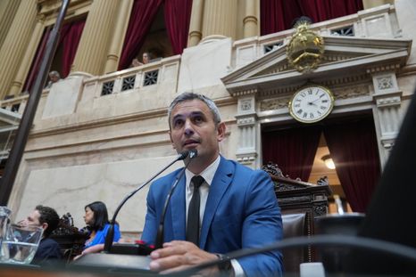 Crecen las críticas de la oposición contra Martín Menem Crecen las críticas de la oposición contra Martín Menem