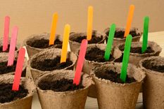 Palitos de helado en el jardín: cómo usarlos