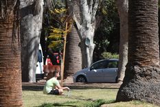 Foto: Walter Moreno/Mdz Foto: Walter Moreno/Mdz