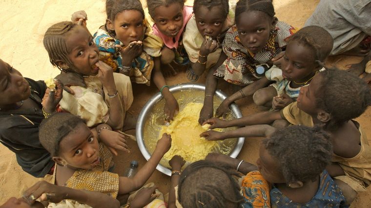 Cientos de millones de niñas y niños padecen hambre en el mundo. Foto: Pinterest.