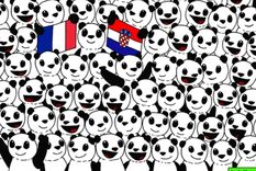 ACERTIJO VISUAL ACERTIJO VISUAL, RETO VISUAL, PELOTA Foto: ARCHIVO