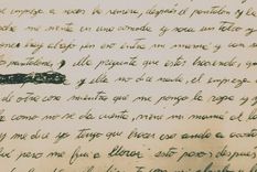 Una vida con tachones Cecilia anotó su experiencia en diarios personales.