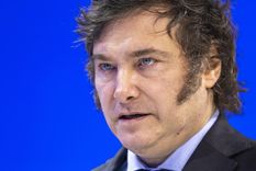 Javier Milei continúa sumando días al mando del poder Foto: EFE