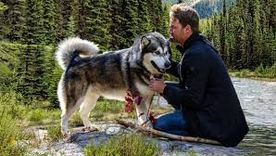 Sobreviendo el camino a casa, una película para ver en familia. Foto: cortesía Netflix. Sobreviendo el camino a casa, una película para ver en familia. Foto: cortesía Netflix.