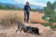 Roy, el perro rastreador, junto a la investigadora Mariella Superina.
