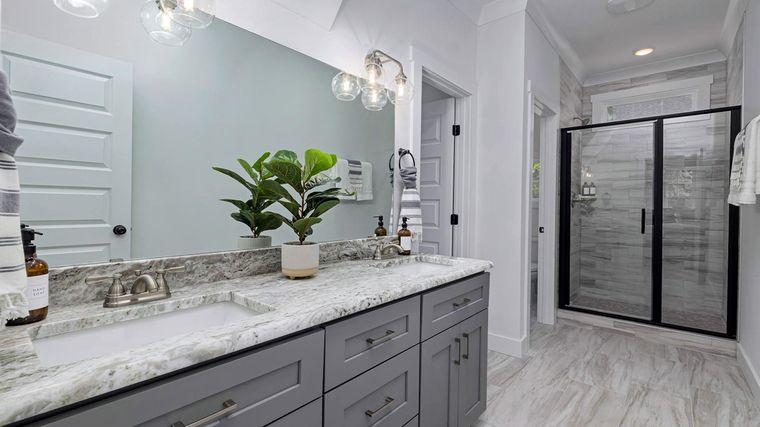 No todas las plantas sobreviven en la oscuridad: la luz artificial es clave en baños cerrados. Créditos: Pexels.