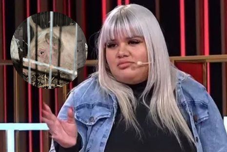 allanaron el templo umbanda que frecuentaba morena rial y rescataron 40 animales allanaron el templo umbanda que frecuentaba morena rial y rescataron 40 animales