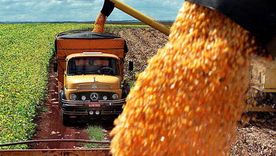 Suba retenciones y Coninagro se posiciona. Suba retenciones y Coninagro se posiciona.