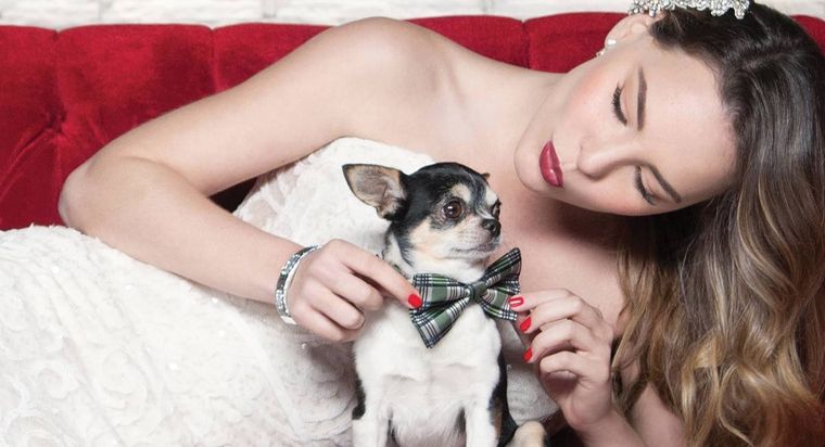 Foto: https://www.dogalize.com/es/2017/10/belinda-conoces-su-simpatico-perro-gizmo/