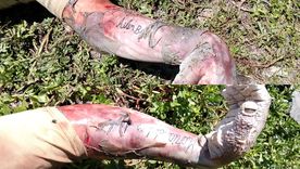 Se filtraron las imágenes del cadáver encontrado en Ensenada que podrían ser fundamentales para la causa