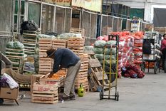 La medida prohíbe el traslado de cítricos dentro de Mendoza hacia el sur, no permitiendo cruzar el control de Zapata. Foto: ALF PONCE MERCADO / MDZ