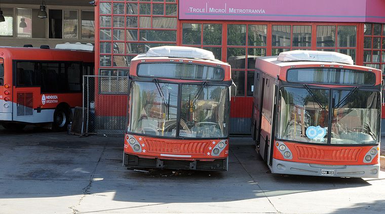 Foto: Alf Ponce / MDZ