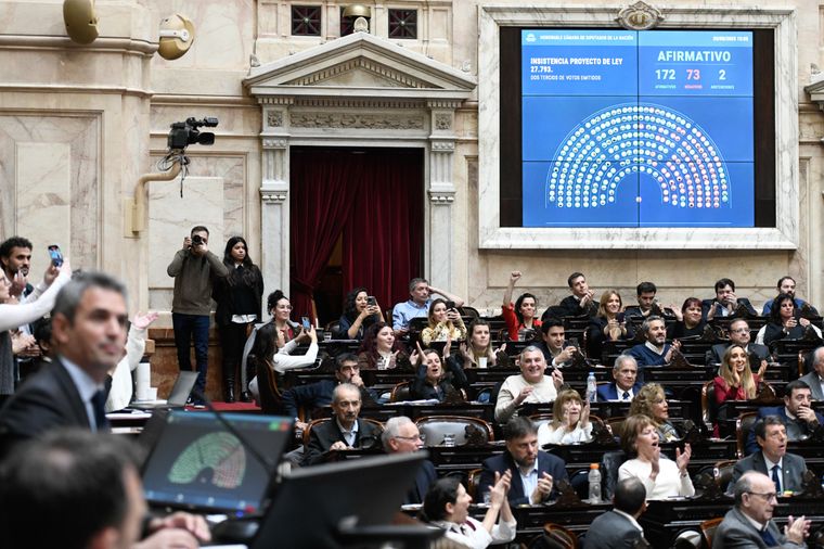 Diputados rechazó el veto a la ley de discapacidad con 172 votos afirmativos.
