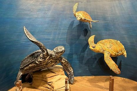 El Conicet presentó el nuevo espacio “Joselito y las tortugas marinas”, un recorrido sensorial con foco en biodiversidad y educación. El Conicet presentó el nuevo espacio “Joselito y las tortugas marinas”, un recorrido sensorial con foco en biodiversidad y educación.