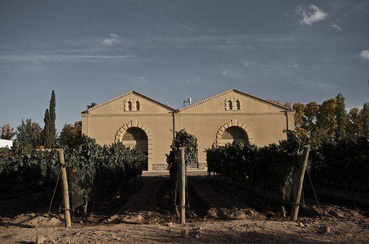 Bodega Casarena, incorporada al modelo colaborativo.