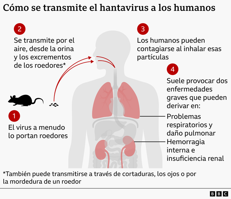 https://www.bbc.com/mundo/articles/czx2n12xj7jo