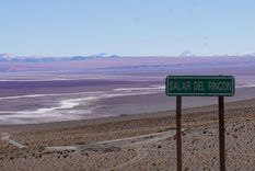 Salar del Rincón, Salta Foto: Gobierno de Salta